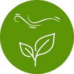 Kapha